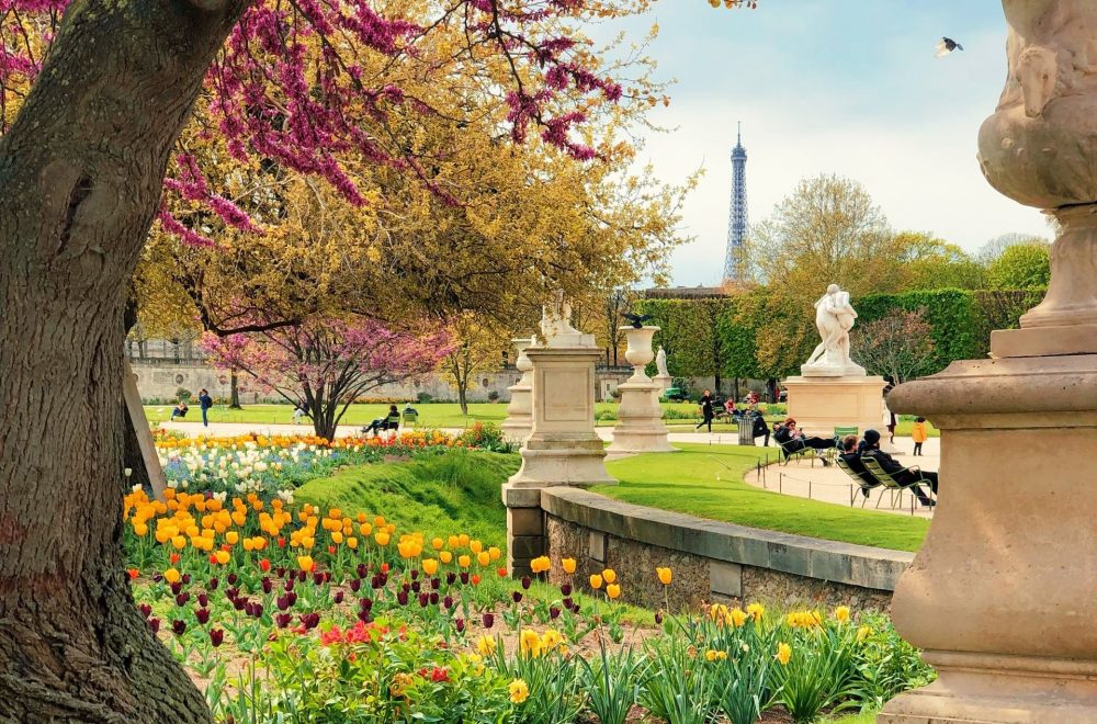 Tuileries Garden flowers