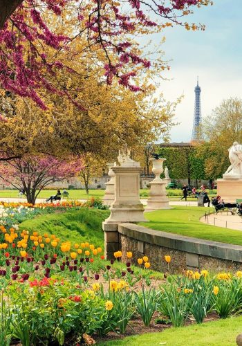 Tuileries Garden flowers