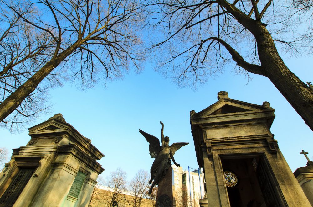 Montparnasse Cemetery on clear winter day