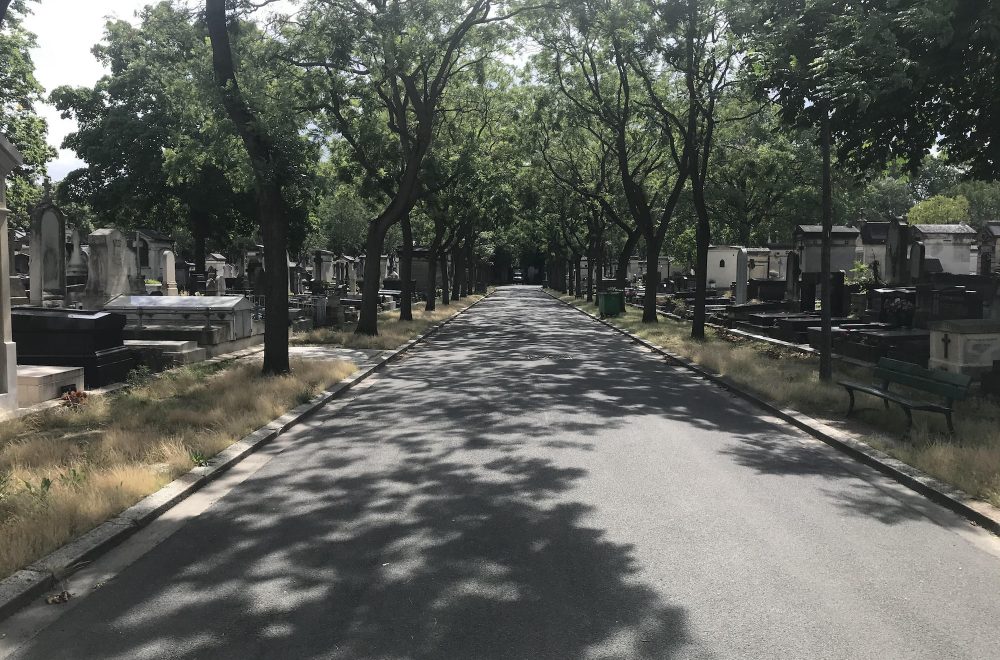 montparnasse cemetery tree lined path