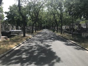 montparnasse cemetery tree lined path