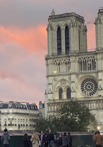 Notre Dame with Pink Sky