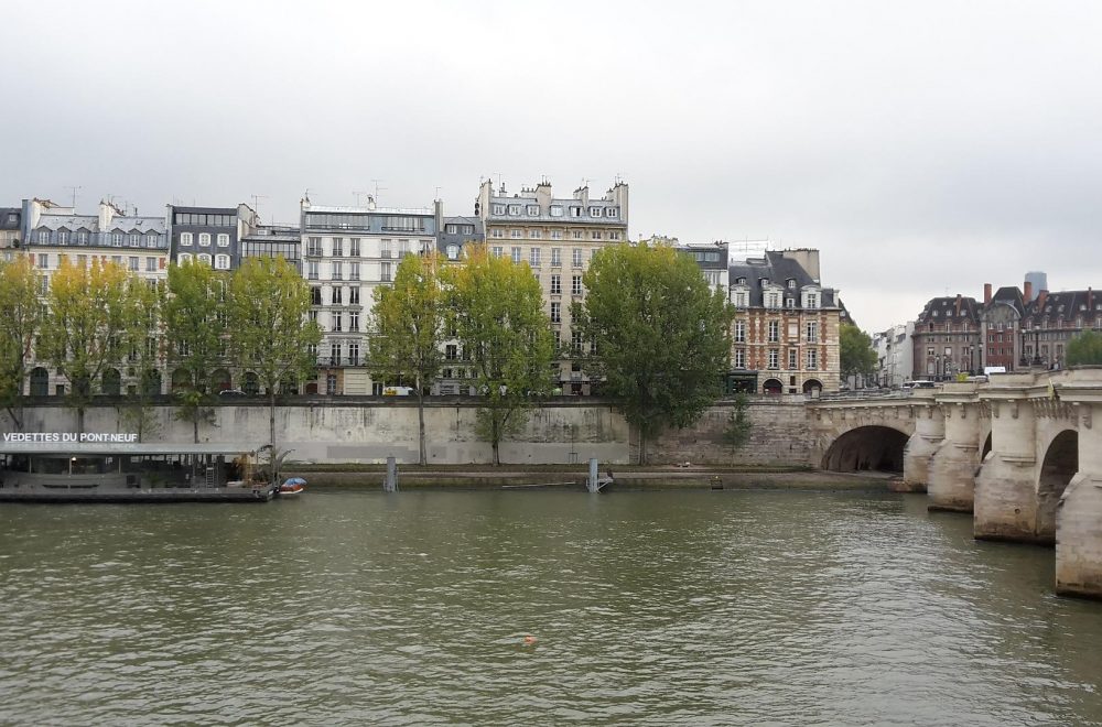 seine et pont neuf