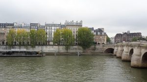 seine et pont neuf