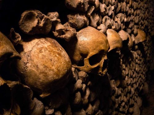 catacomb skulls