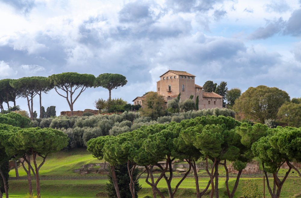 Palatine Hill guided tour