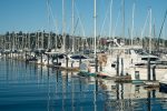 Fisherman's Wharf and Sausalito Walking Tour