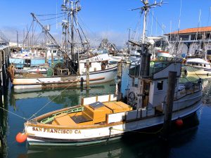 Fisherman’s Wharf and Sausalito Walking Tour (2)