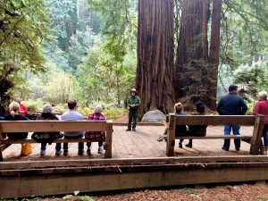 Muir Woods