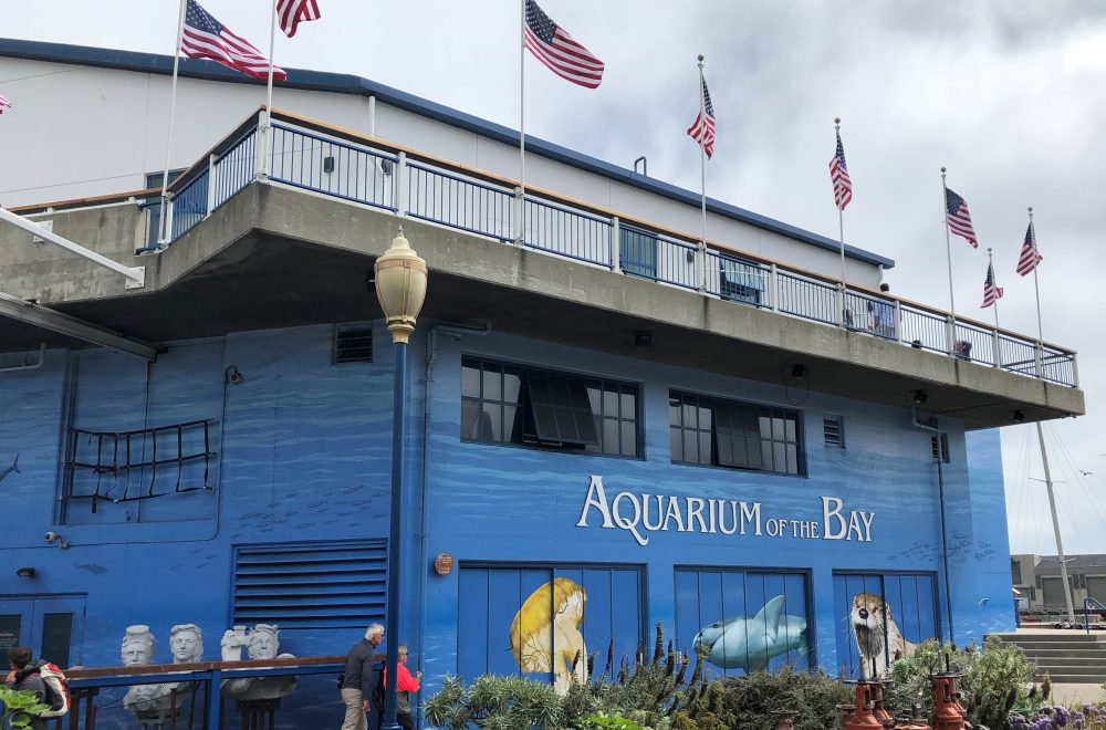 AquariumoftheBay