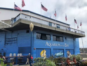 AquariumoftheBay