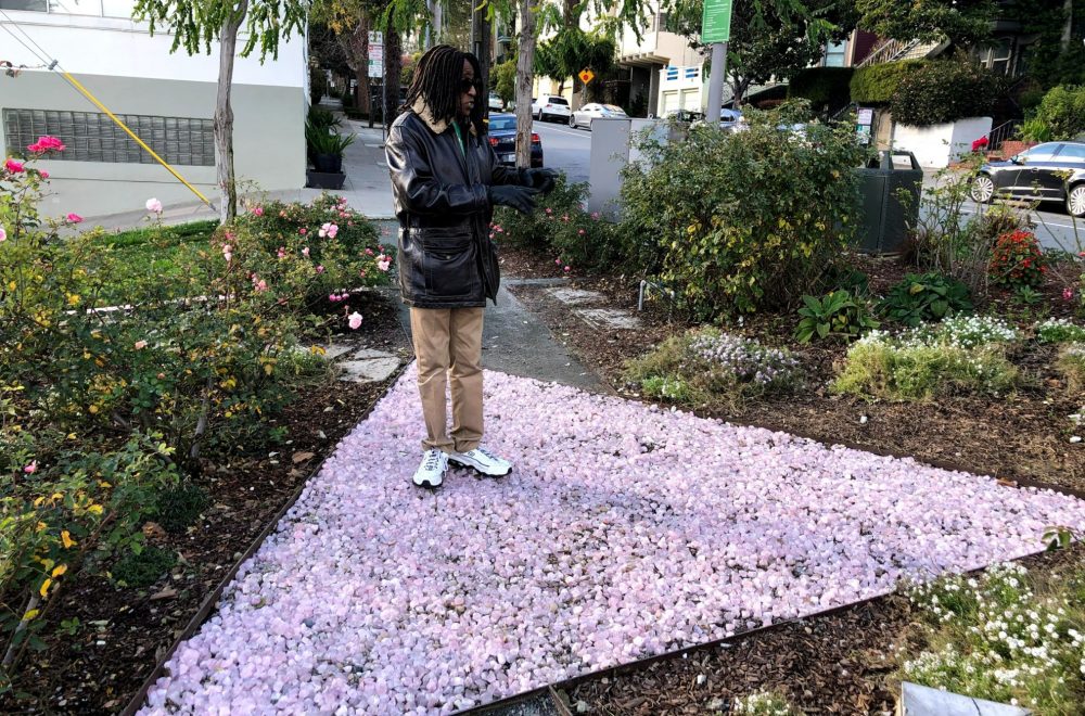 Pink Triangle Castro