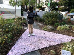 Pink Triangle Castro