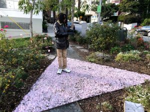 Pink Triangle Castro