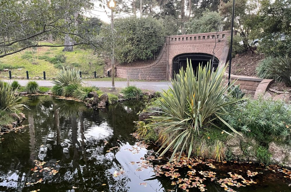 Lake Alvord Golden Gate Park