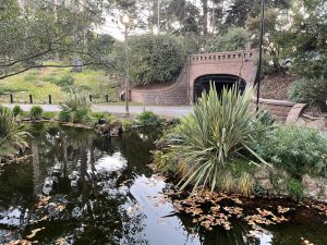 Lake Alvord Golden Gate Park