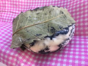 A small round of Corsican cheese wrapped in a wild leaf