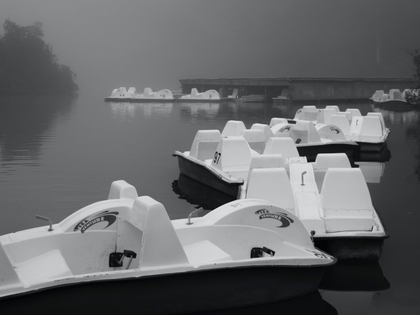 Paddle boats in the fog on Stow Lake inside Golden Gate Park