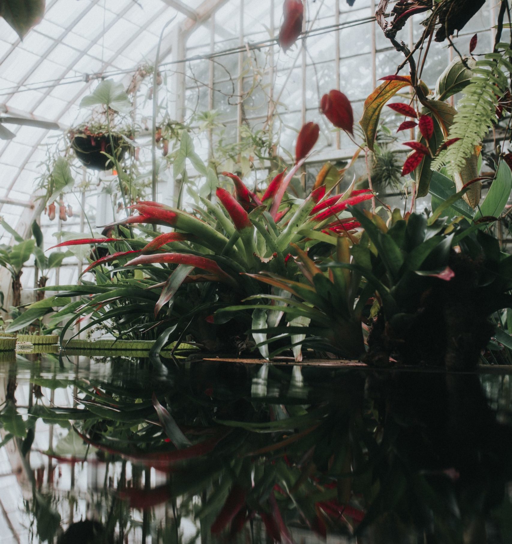 Another view of the Conservatory at Golden Gate Park