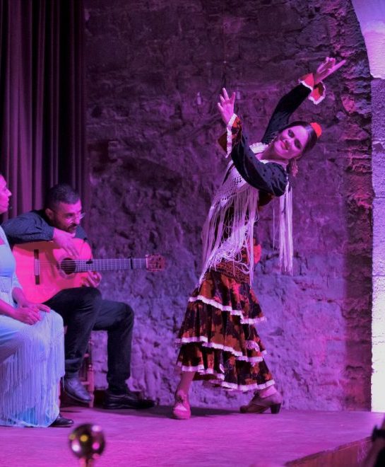 Barcelona Flamenco Show and El Born Art Walking Tour