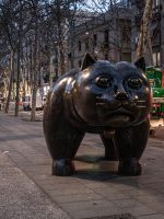 Botero Cat