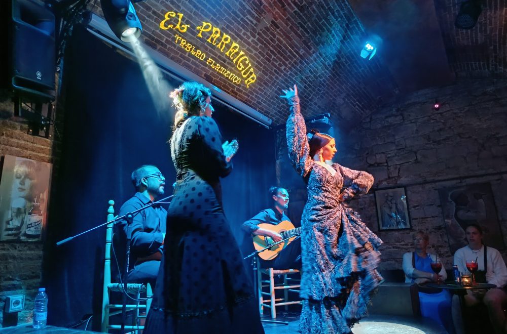 Flamenco Show