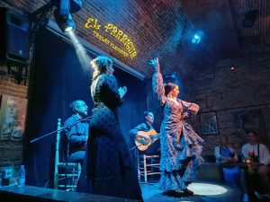 Flamenco Show