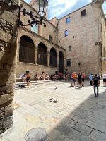 plaça sant iu