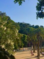 people near trees and hill during daytime