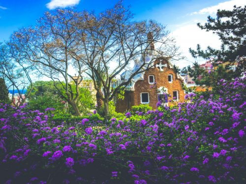 Flowers in Park Guell Barcelona garden
