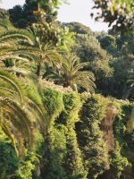 nature in park guell