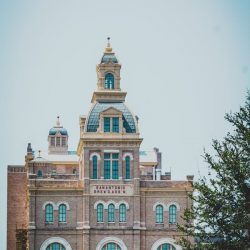 pexels-photo-770215