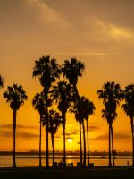 San Diego Sunset
