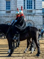 Horse Guards on London walking tour