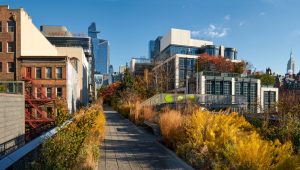 View of Hudson Yards from the High Line