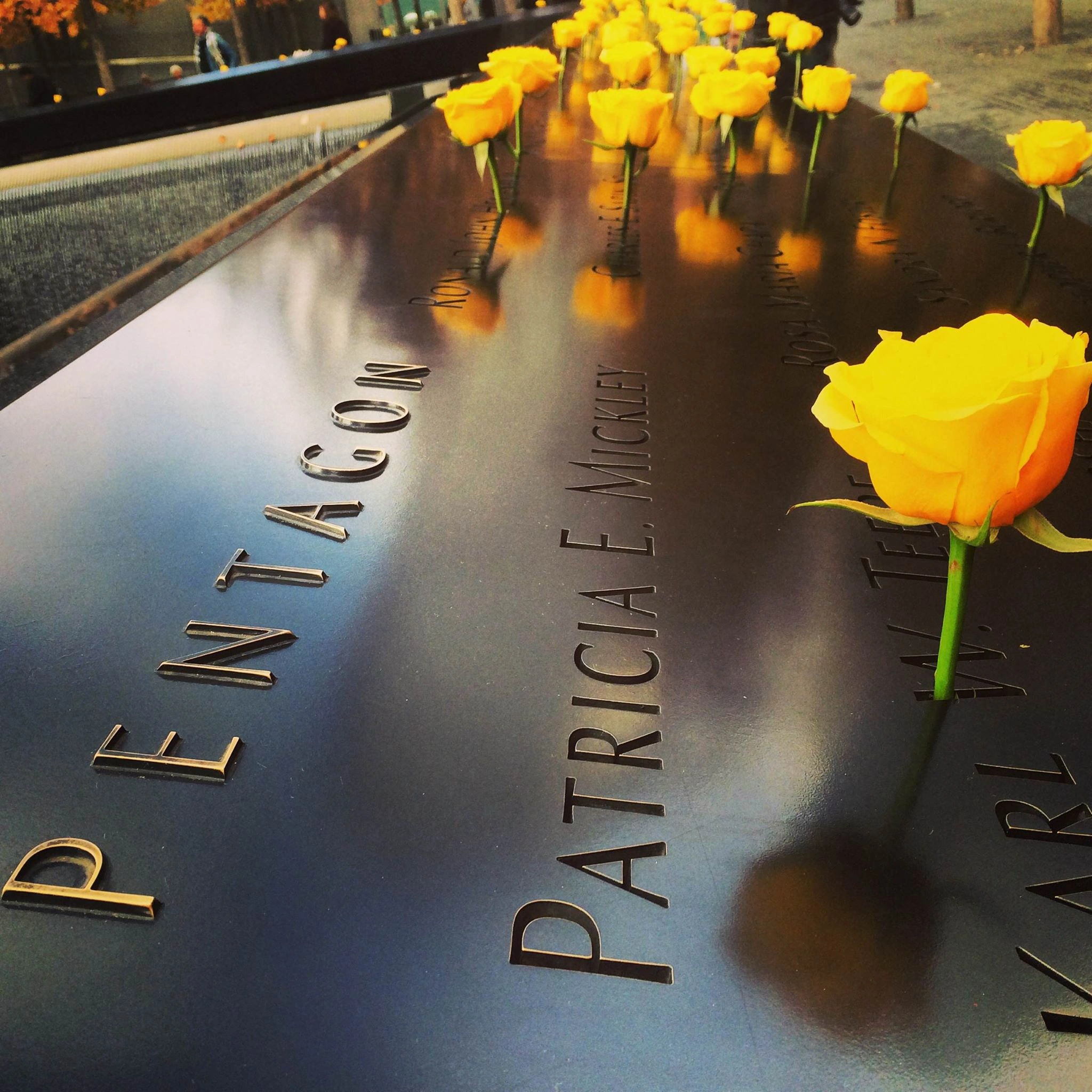 Yellow roses at 9/11 Memorial pools during 9/11 Insider guided tour