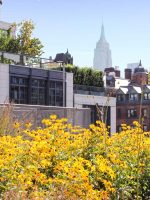 high line NYC