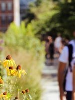 Private High Line and Chelsea Walking Tour