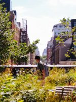 view from the High Line elevated park in NYC