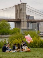 Scenic park shot on Brooklyn, Bronx, Queens Bus Tour