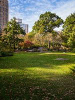 Strawberry Fields in Central Park NYC