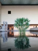 The Met Interior Egyptian Temple