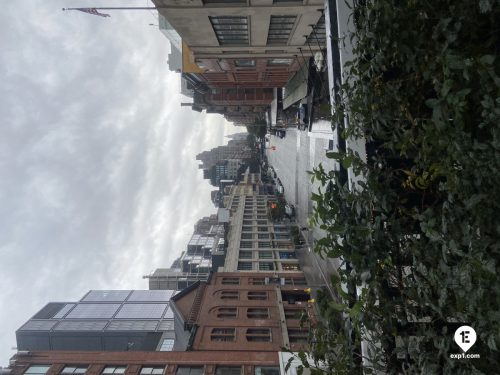 The High Line Tour on Sep 10, 2023 with Isabella