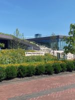 Statue of Liberty in NYC
