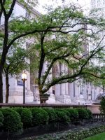 Architectural detail of the New York Public Library