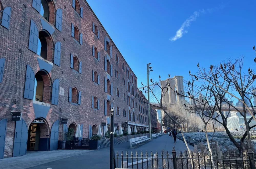 Sightseeing whilst on the dumbo food and culture tour