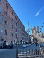 Sightseeing whilst on the dumbo food and culture tour