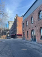 Views during Food and Culture DUMBO Walking Tour