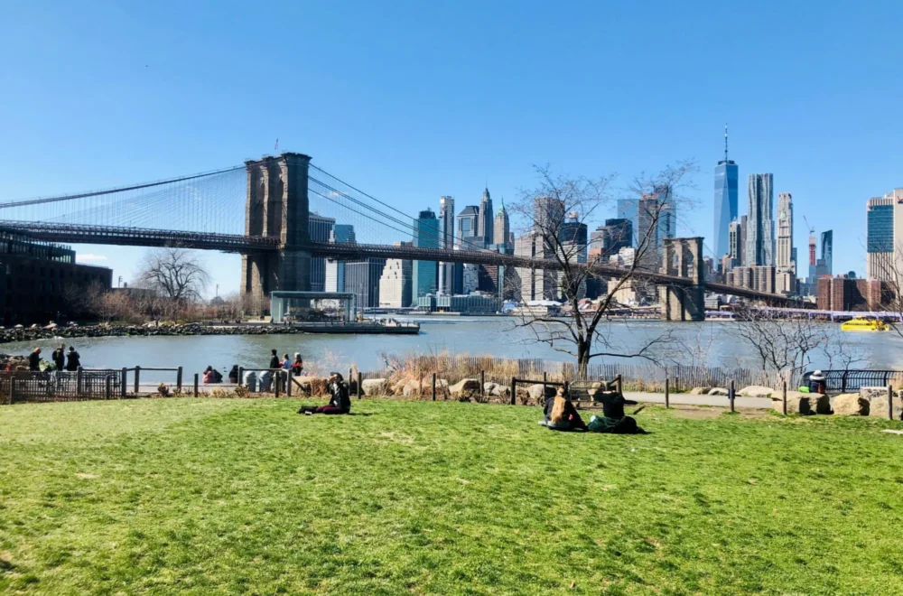 People enjoying Manhattan in a sunny field of grass from Dumbo Brooklyn