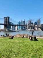 People enjoying Manhattan in a sunny field of grass from Dumbo Brooklyn